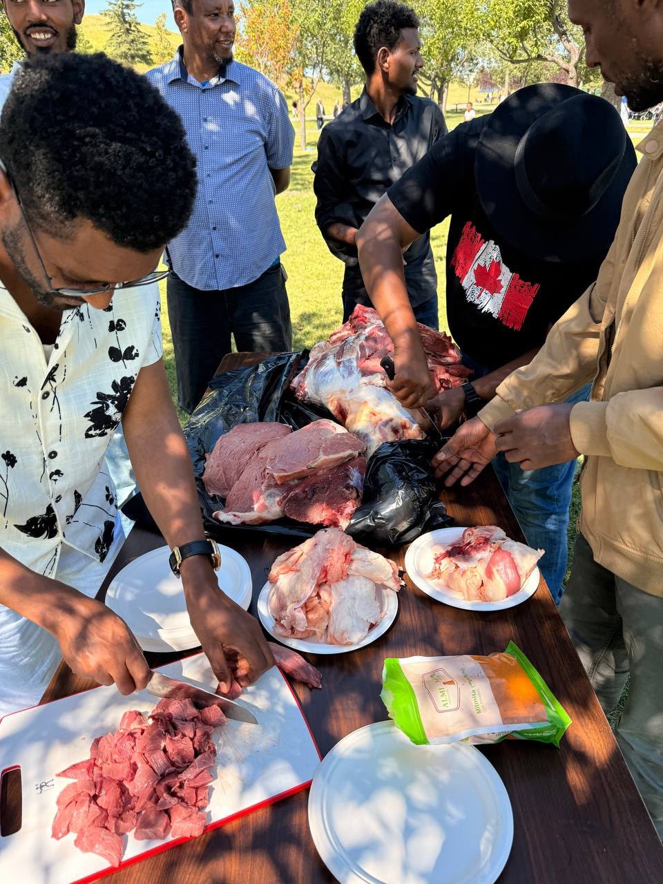 Group sharing food at an outdoor park gathering